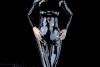 051_Reflektion_paint